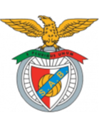 https://img.cswprt.com/img/football/team/13d8d22b32e0803f939082416da63541.png